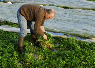 Les fournisseurs sur Agrilocal76.fr