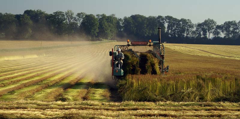 Paysage agricole Seinomarin