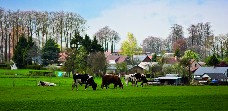 Politique agricole de la Seine Maritime